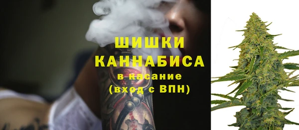 прущие крисы Пестово