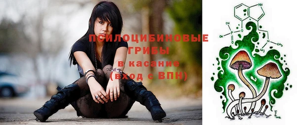мяу мяу мука Переславль-Залесский