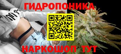 сатива Новодвинск