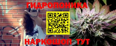 шишки Новокубанск