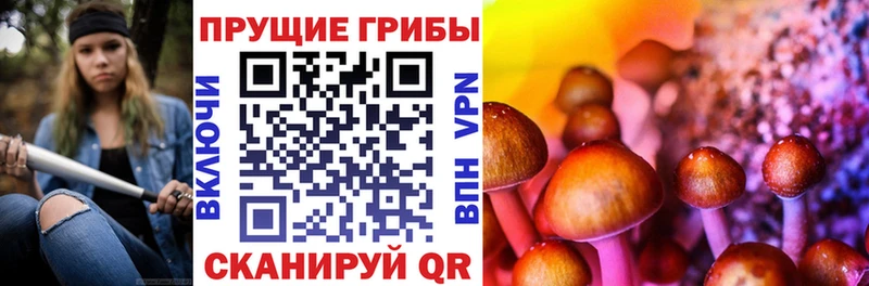 хочу наркоту  Тейково  Псилоцибиновые грибы мухоморы 