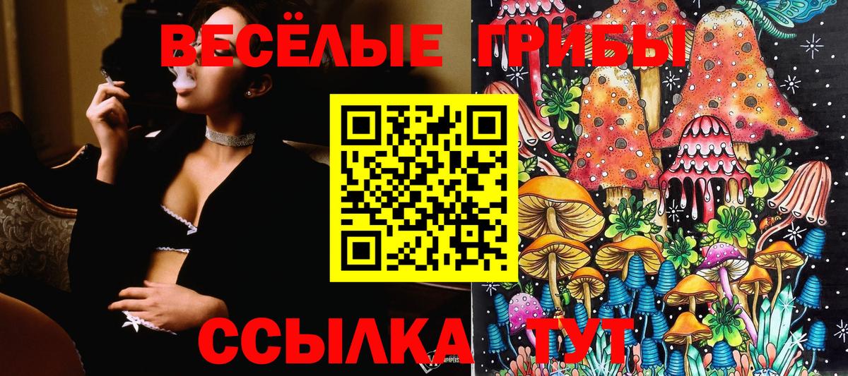 Тейково  Галлюциногенные грибы мицелий  Вход с VPN 